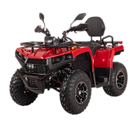 Квадроцикл Bizon YK250 LUX EFI